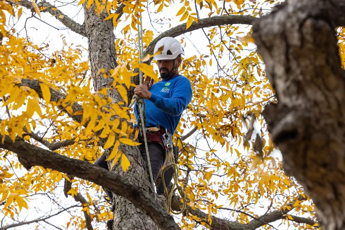Skilled Storm Damage Cleanup crew working in West Lafayette